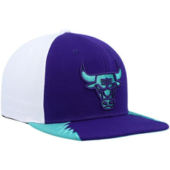 Mitchell & Ness Chicago Bulls Day 5 Snapback Hat Purple