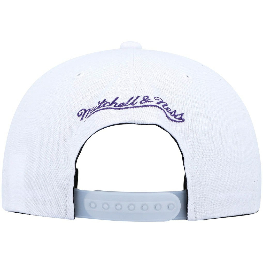 Mitchell & Ness Chicago Bulls Day 5 Snapback Hat Purple