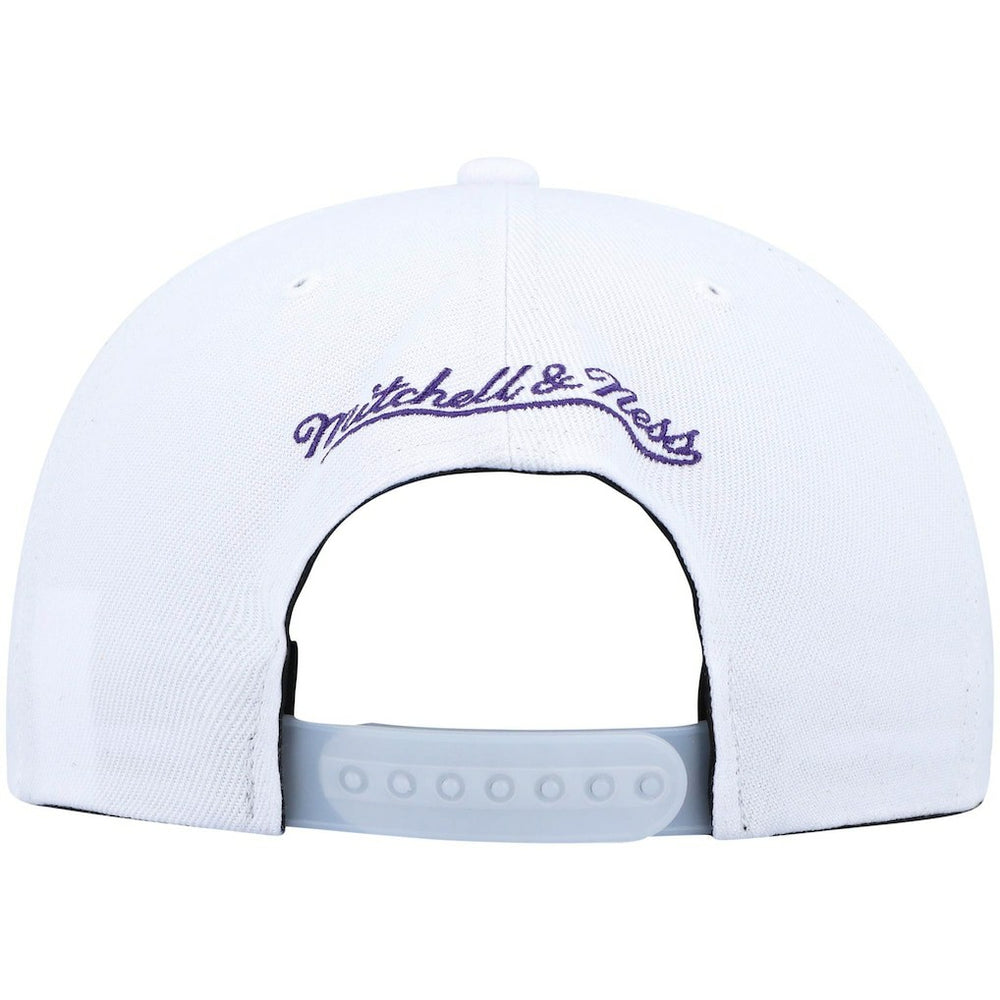 Mitchell & Ness Chicago Bulls Day 5 Snapback Hat Purple