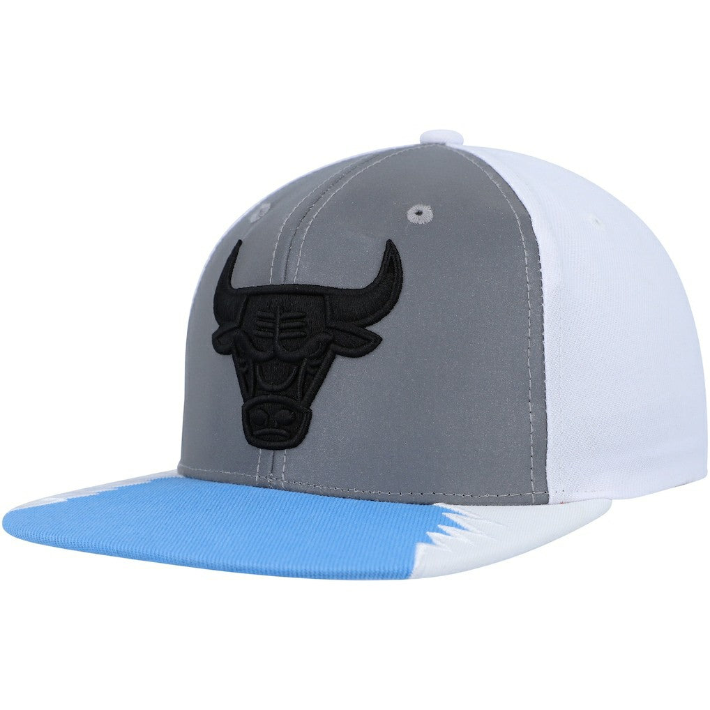 Mitchell & Ness Chicago Bulls Day 5 Snapback Hat Silver/Blue