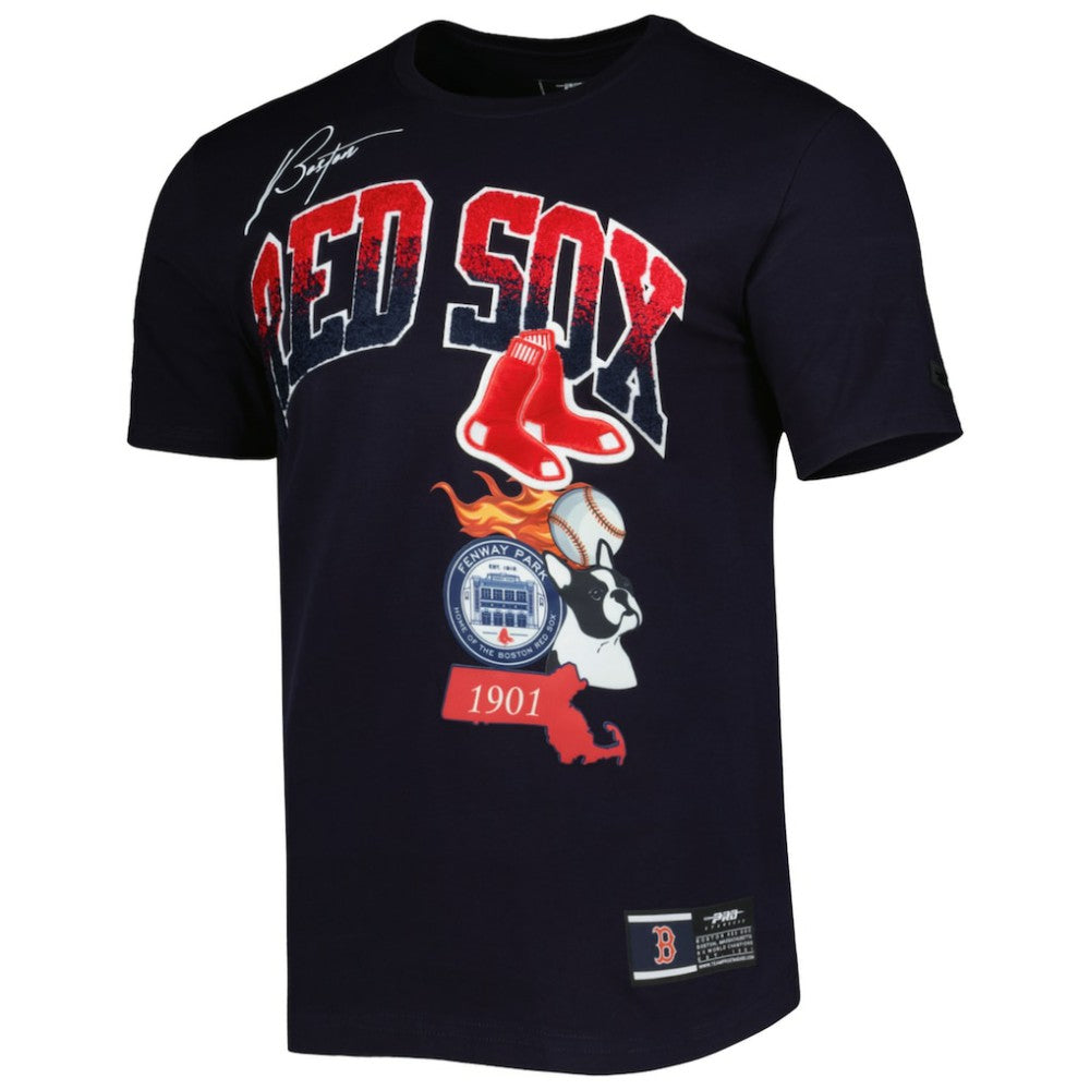 Boston Red Sox Pro Standard Hometown T-Shirt for sale
