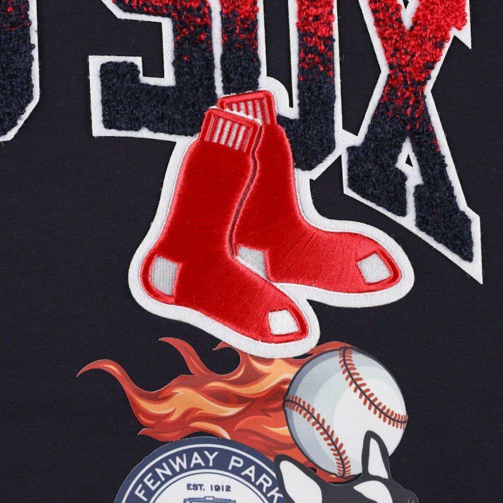 Boston Red Sox Pro Standard Hometown T-Shirt for sale