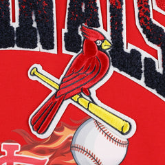 St. Louis Cardinals Pro Standard Hometown T-Shirt Discount