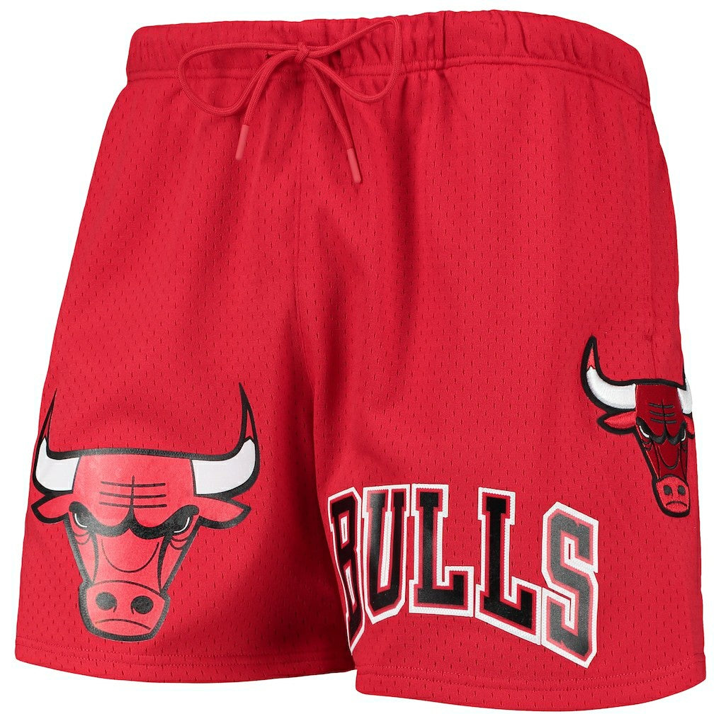 Chicago Bulls Pro Standard Mesh Capsule Shorts Red