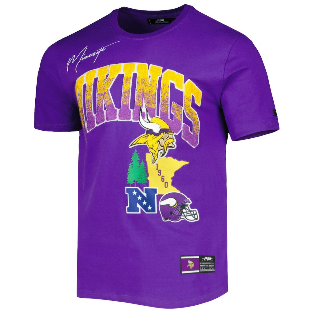 Minnesota Vikings Pro Standard Hometown Collection T-Shirt - Purple - NFL