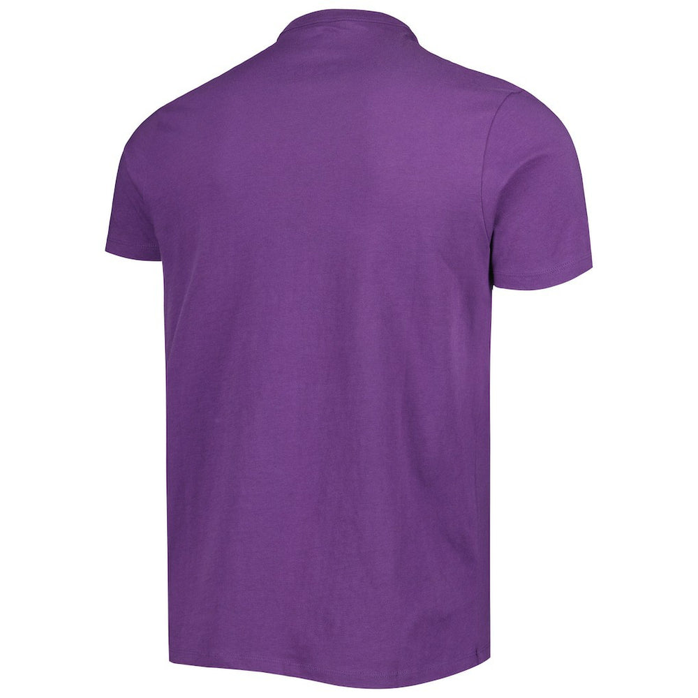 Minnesota Vikings '47 All Arch Franklin T-Shirt - Purple - 47 brand