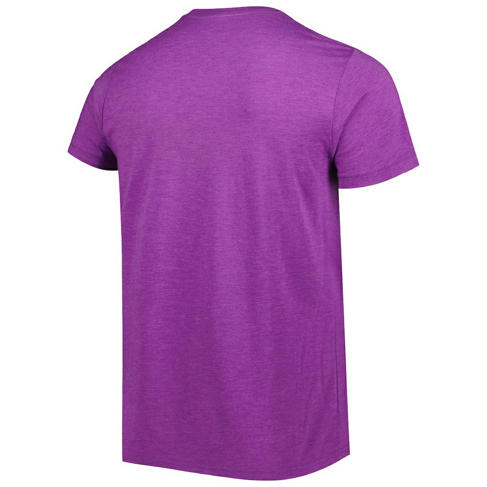 Minnesota Vikings Homage Dome Dog Hyper Local Tri-Blend T-Shirt - Purple - NFL