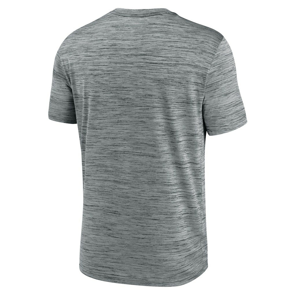 Cleveland Browns Velocity Performance T-Shirt - Gray - Nike