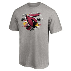 Arizona Cardinals True Color T-Shirt - Heather Gray - NFL