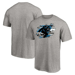 Carolina Panthers True Color T-Shirt - Heather Gray - NFL