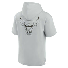 Fanatics Chicago Bulls Unisex Elements Super Soft Fleece Short Sleeve Pullover Hoodie Gray