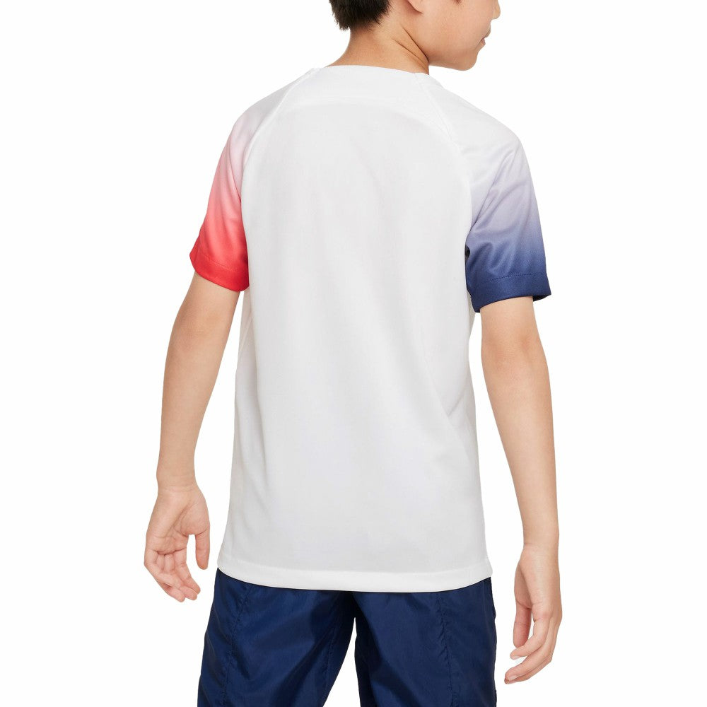Nike - Paris Saint-Germain Youth 2023/24 Academy Pro Performance Pre-Match Top - White