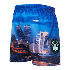 Boston Celtics Pro Standard Cityscape Shorts