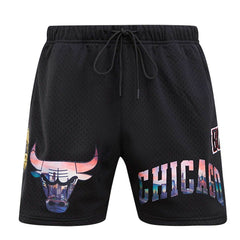 Chicago Bulls Pro Standard City Scape Mesh Shorts Black