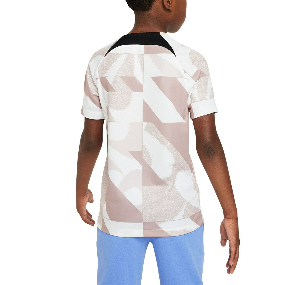 Nike - Tottenham Hotspur Youth 2023/24 Academy Pro Performance Pre-Match Top - White