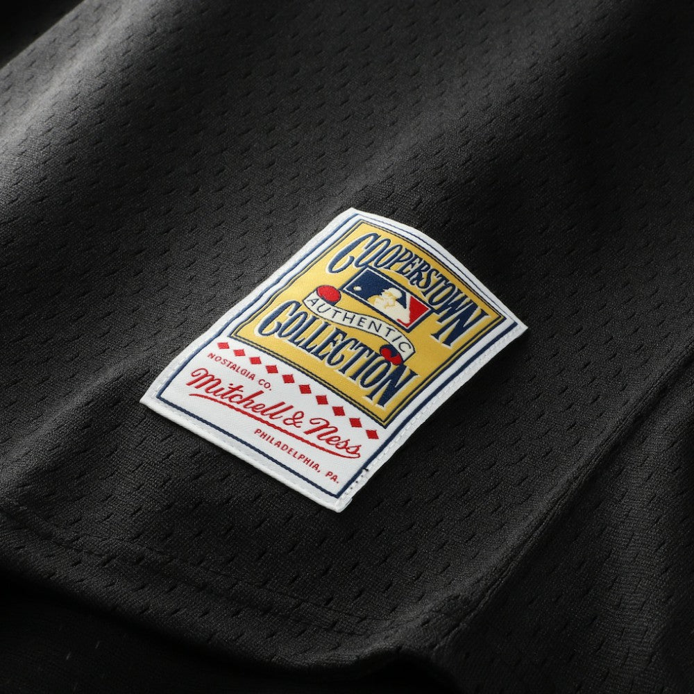 Craig Biggio Houston Astros Mitchell & Ness Authentic Batting Practice Jersey Sale
