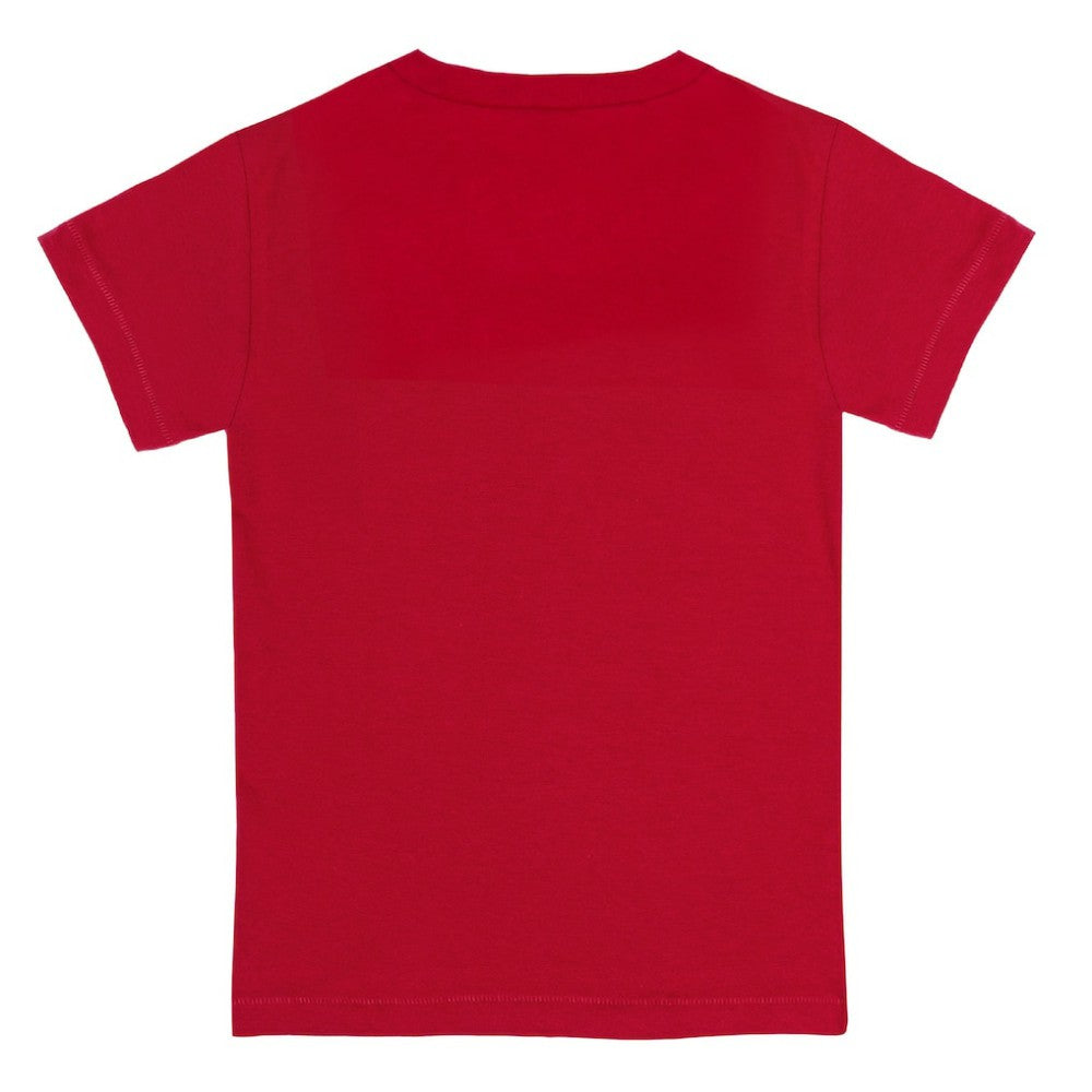 Boston Red Sox Tiny Turnip Youth Teddy Boy T-Shirt Outlet