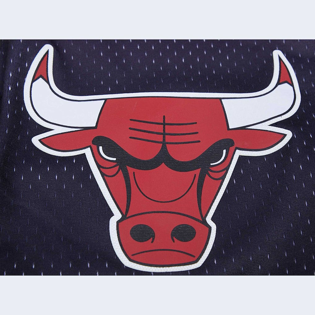 Chicago Bulls Pro Standard Ombre Mesh Shorts Black/Red