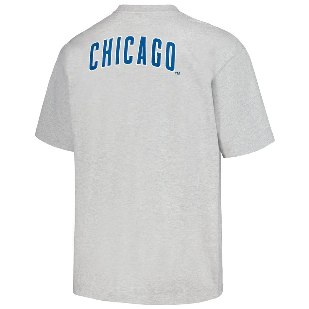 Chicago Cubs PLEASURES Mascot T-Shirt Sale