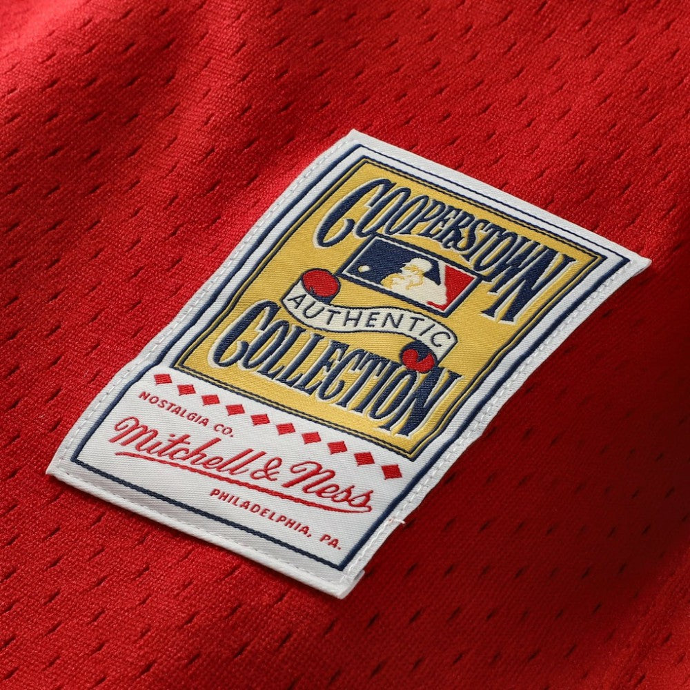 Johnny Bench Cincinnati Reds Mitchell & Ness Authentic Batting Practice Jersey Discount