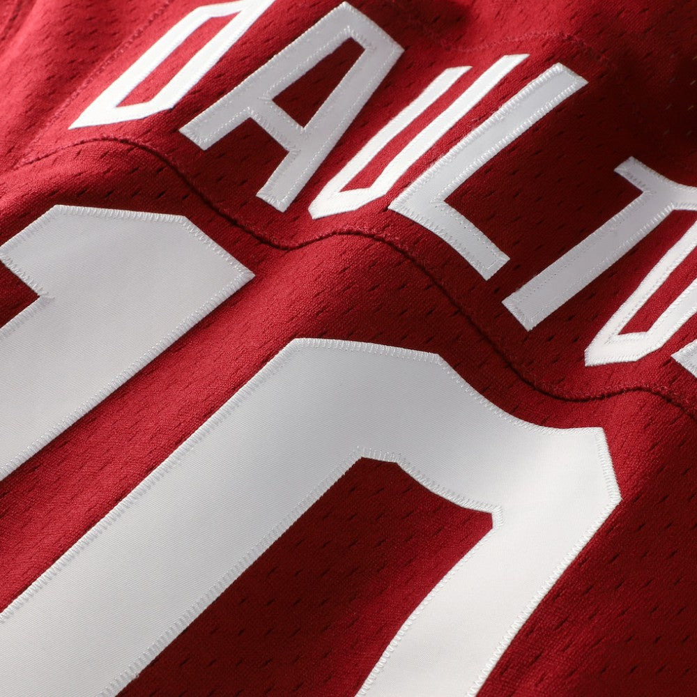 Darren Daulton Philadelphia Phillies Mitchell & Ness Authentic Batting Practice Jersey Sale