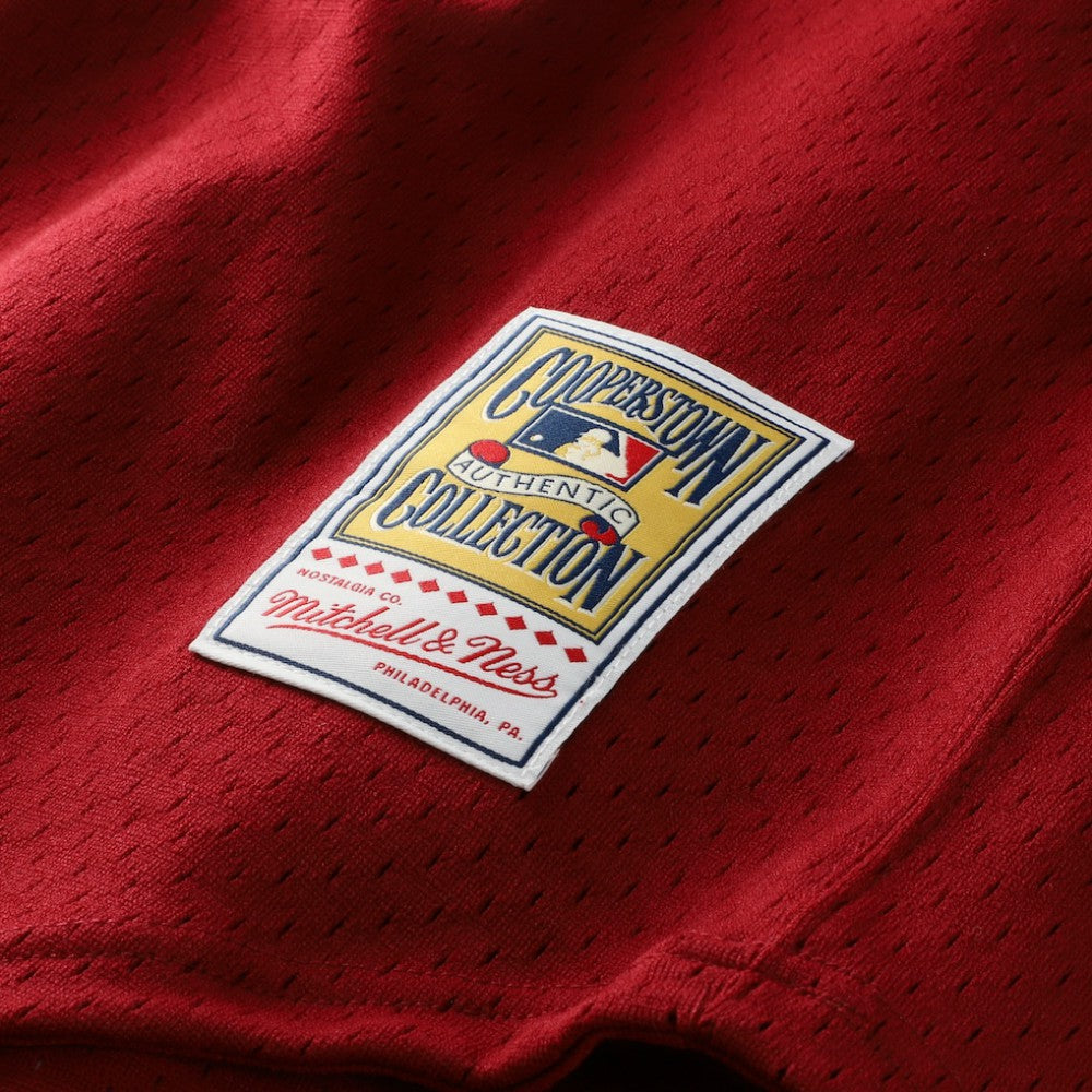 Darren Daulton Philadelphia Phillies Mitchell & Ness Authentic Batting Practice Jersey Sale