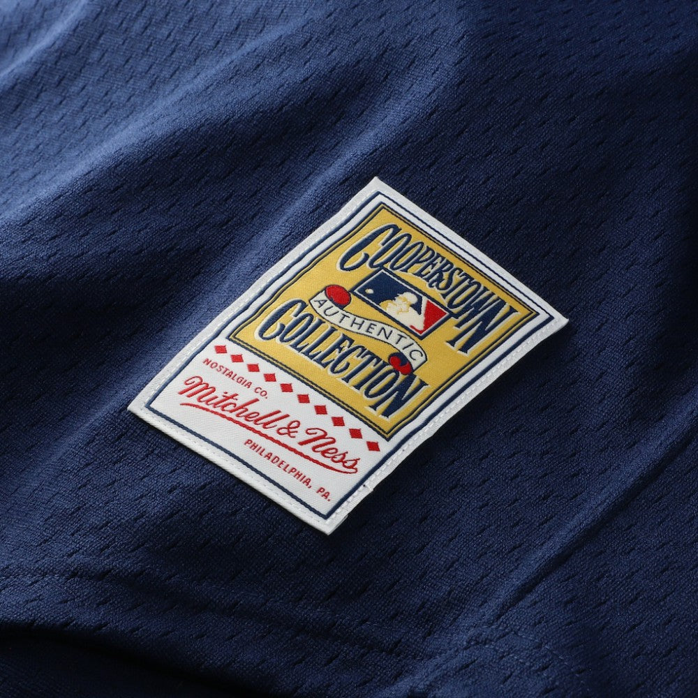 Craig Biggio Houston Astros Mitchell & Ness Authentic Batting Practice Jersey for sale