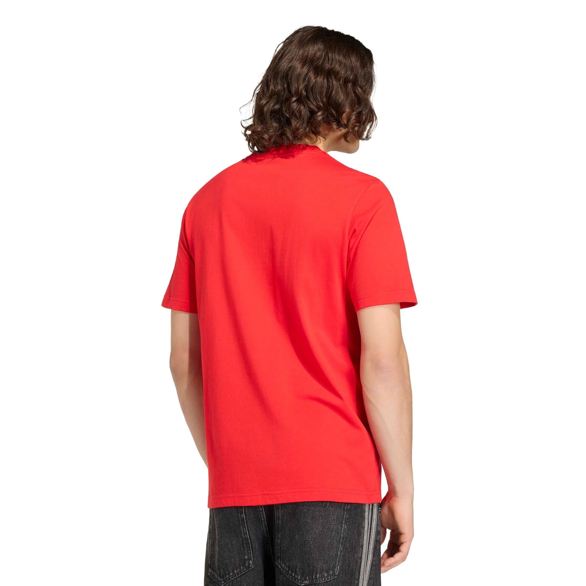 Adidas - 2026 Spain Men's DNA Graphic Tee